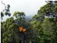 2452 Round Hill Road, Agnes Water QLD 4677