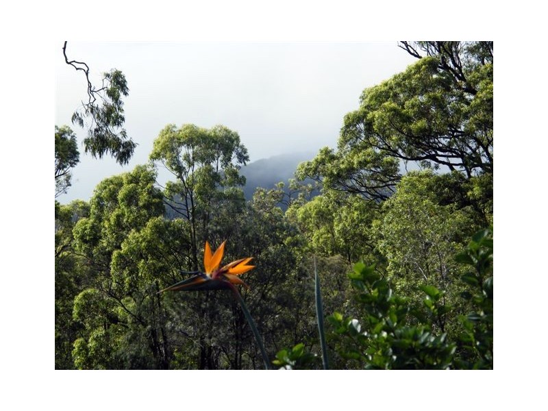 2452 Round Hill Road, Agnes Water QLD 4677