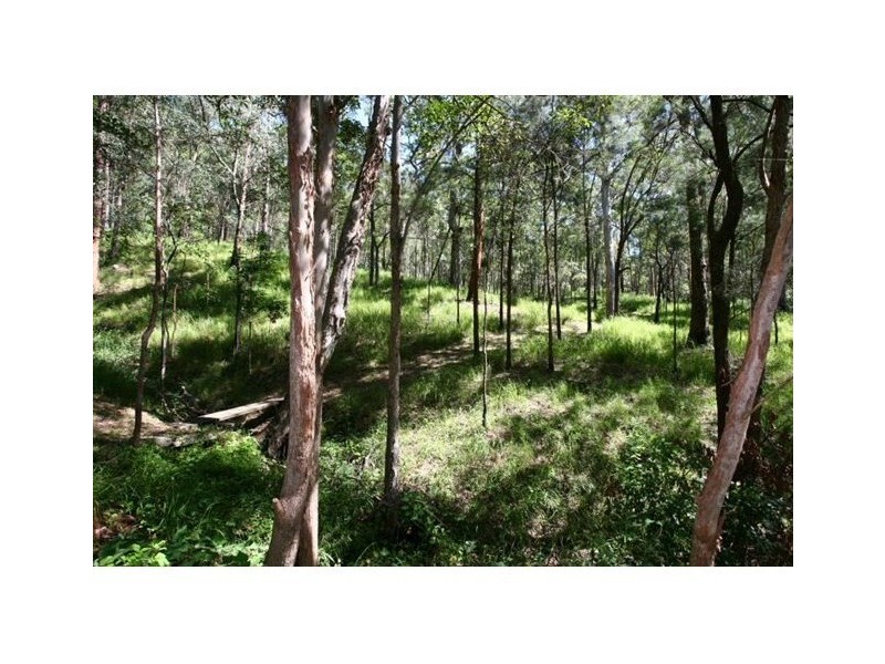 49 Garlinge Court, Bonogin QLD 4213