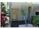 109 Moreton Avenue, Wynnum QLD 4178