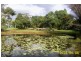 10 Meadow Road, Julatten QLD 4871