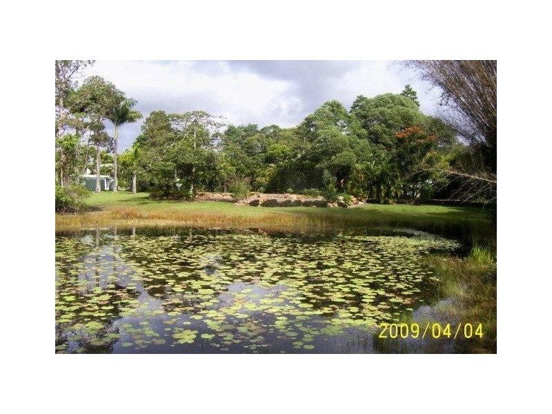 10 Meadow Road, Julatten QLD 4871