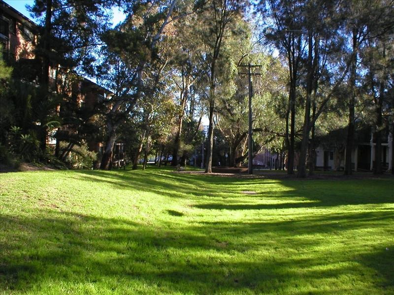 392 Jones Street, Ultimo NSW 2007