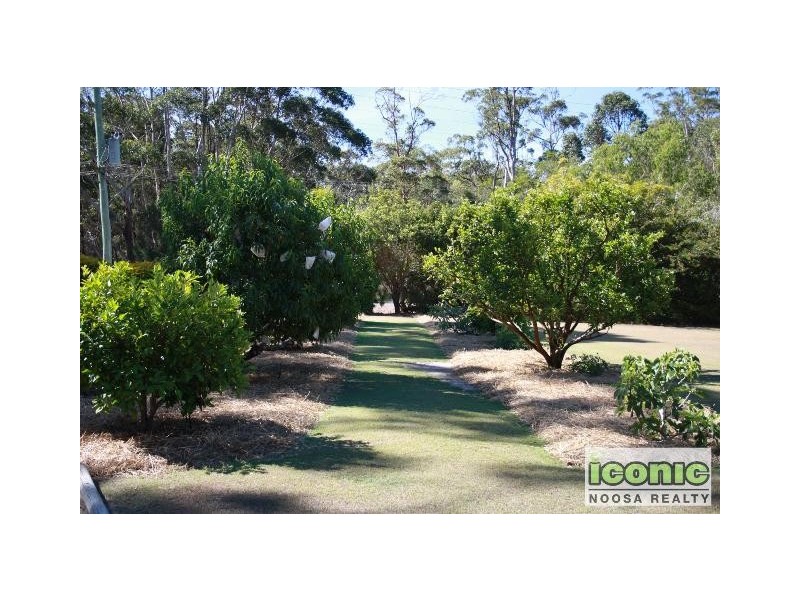 Tinbeerwah QLD 4563