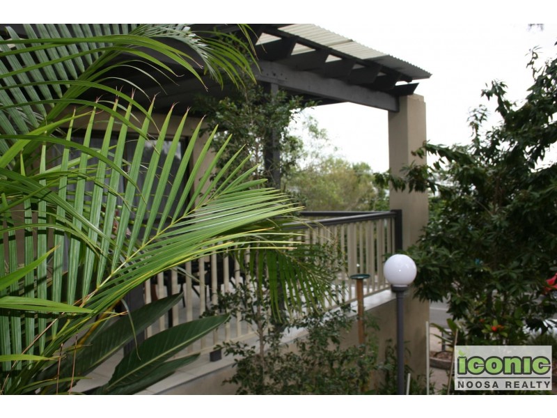 Noosa Heads QLD 4567