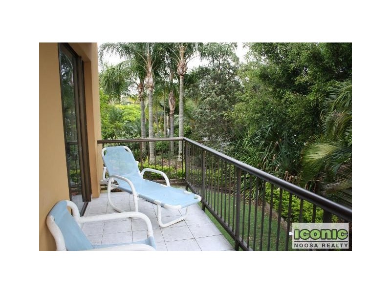 Noosa Heads QLD 4567