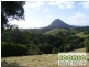 Black Mountain QLD 4563