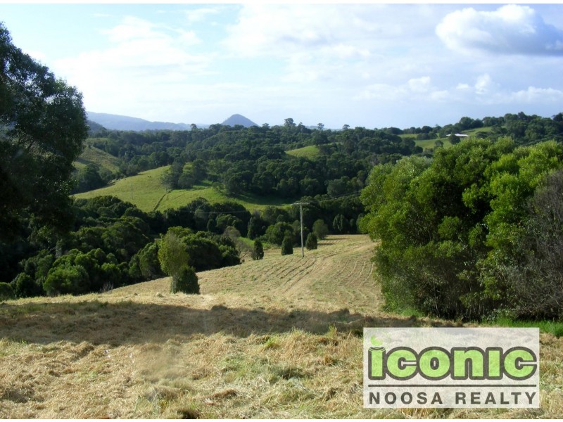 Black Mountain QLD 4563