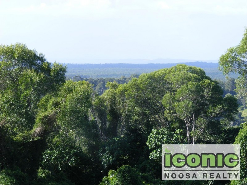 Black Mountain QLD 4563