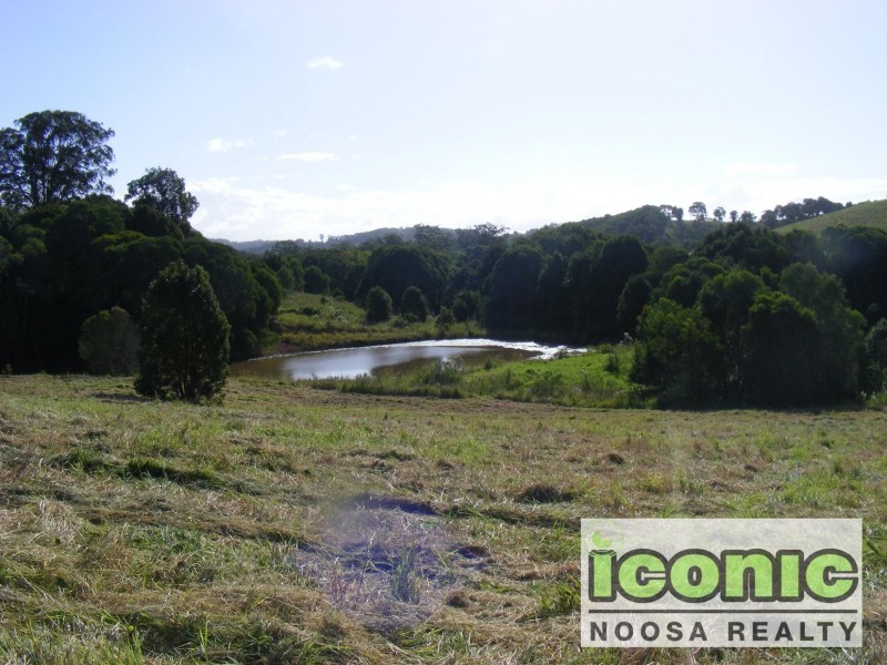 Black Mountain QLD 4563