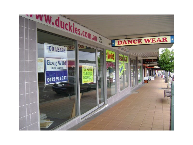 233a MAIN ROAD, Toukley NSW 2263