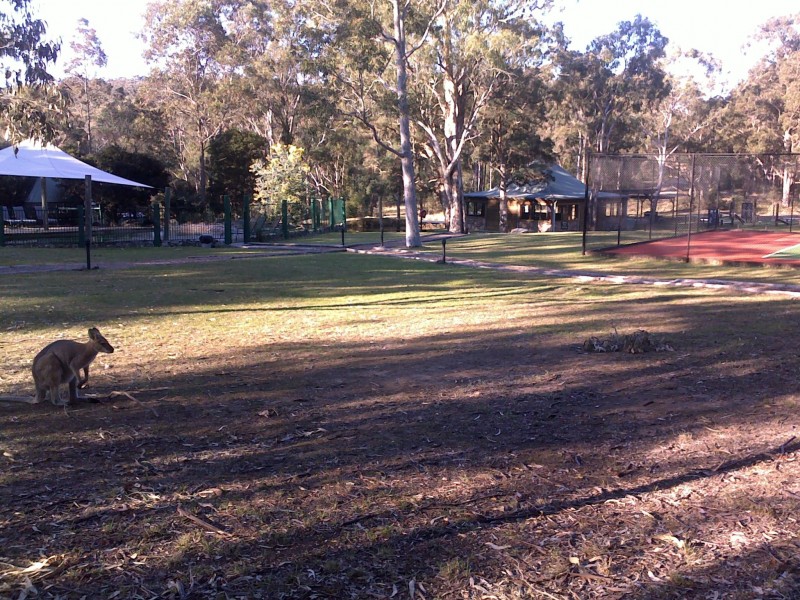 Moonabung Rd, Vacy NSW 2421