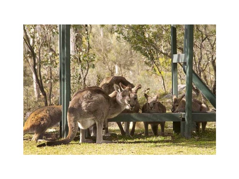 Vacy NSW 2421
