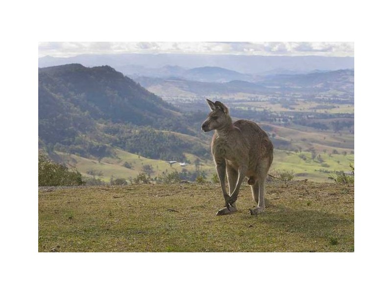 Vacy NSW 2421