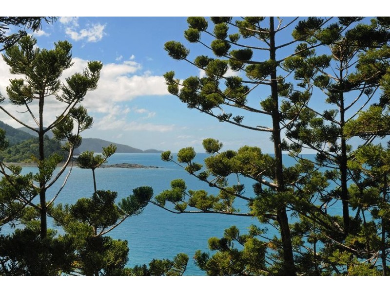 MP/9 Coral Sea Avenue, Hamilton Island QLD 4803