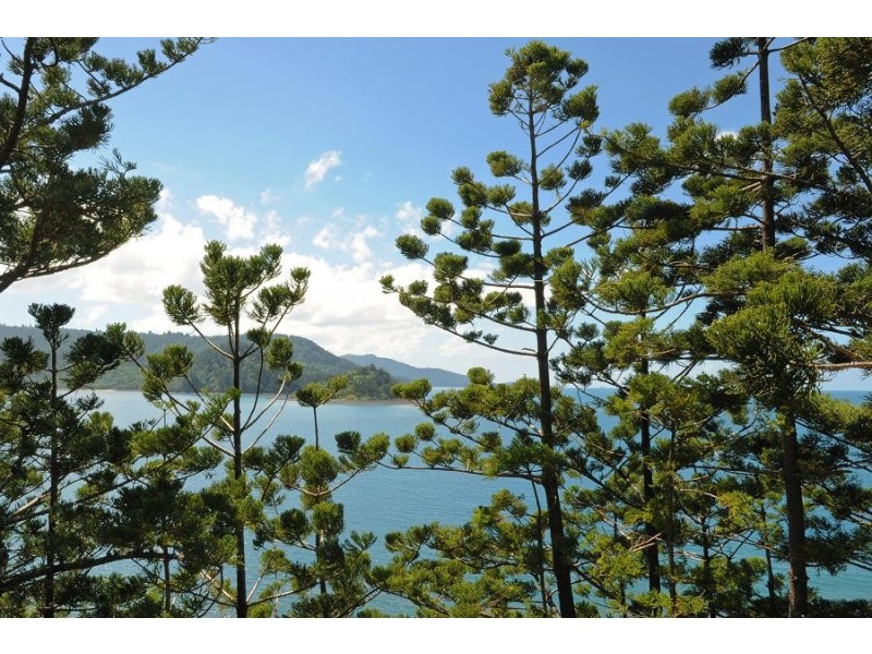 MP/9 Coral Sea Avenue, Hamilton Island QLD 4803