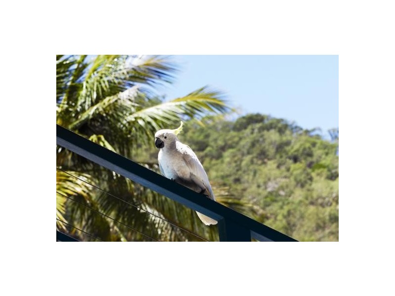 6 Whitsunday Boulevard, Hamilton Island QLD 4803