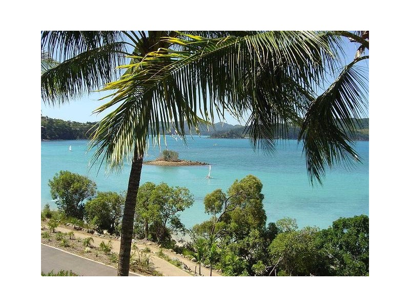 202/17 Resort Drive, Hamilton Island QLD 4803