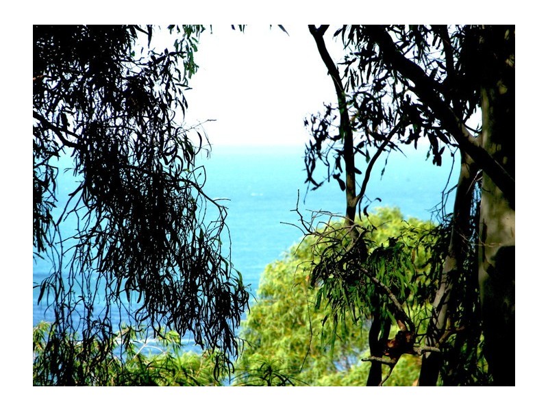 6/6 Great Northern Highway, Hamilton Island QLD 4803