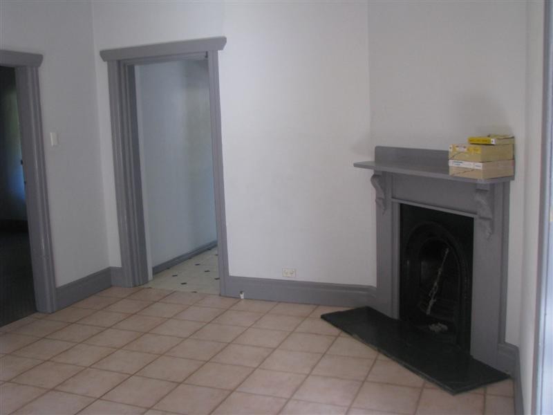 19 Coleman Av, Homebush NSW 2140