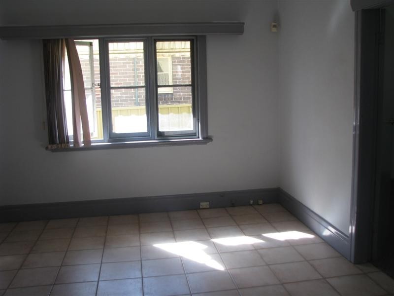 19 Coleman Av, Homebush NSW 2140
