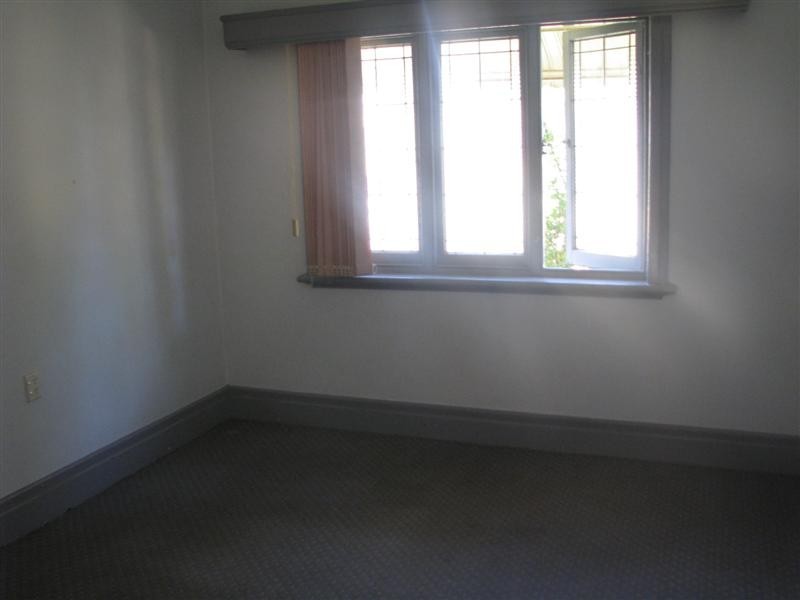 19 Coleman Av, Homebush NSW 2140