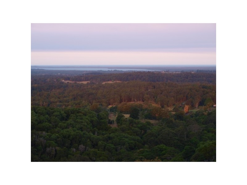 98 Simpsons Road, Cootharaba QLD 4565