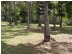904 Cootharaba Road, Cootharaba QLD 4565