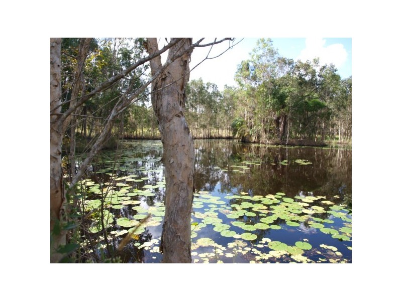 0/1503 Louis Bazzo Drive, Boreen Point QLD 4565