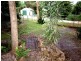2 Vista Street, Boreen Point QLD 4565