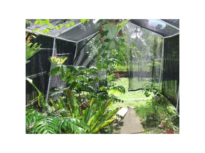 14 Woongar Street, Boreen Point QLD 4565