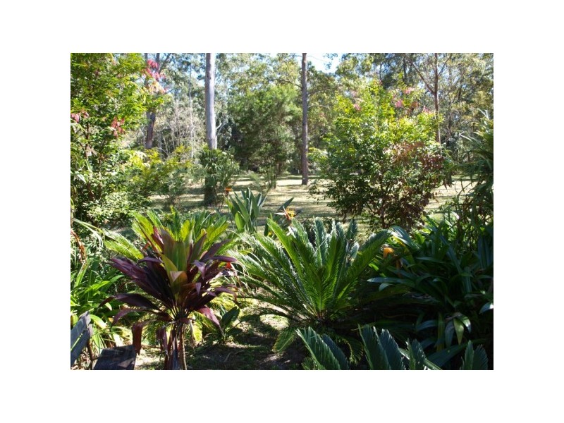 98 Kildeys Road, Cootharaba QLD 4565