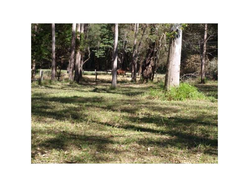 98 Kildeys Road, Cootharaba QLD 4565