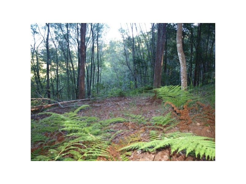 330 Cootharaba Road, Cootharaba QLD 4565