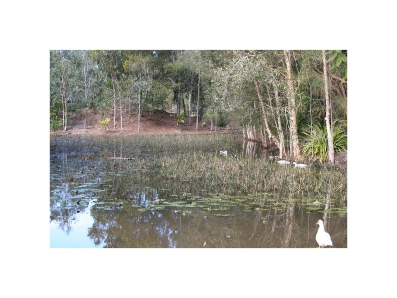 1534 Louis Bazzo Drive, Cootharaba QLD 4565