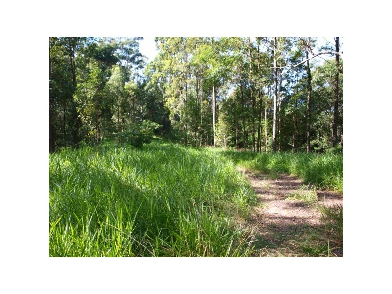 178 Tomkinsons Road, Cootharaba QLD 4565