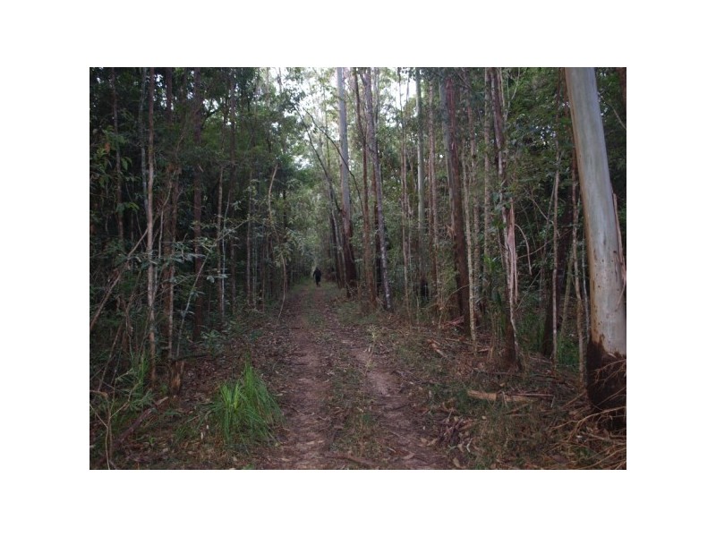 49 Kildeys Road, Cootharaba QLD 4565