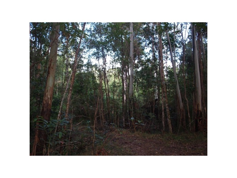 49 Kildeys Road, Cootharaba QLD 4565