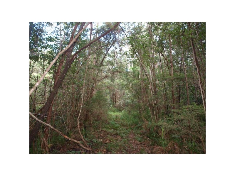 49 Kildeys Road, Cootharaba QLD 4565