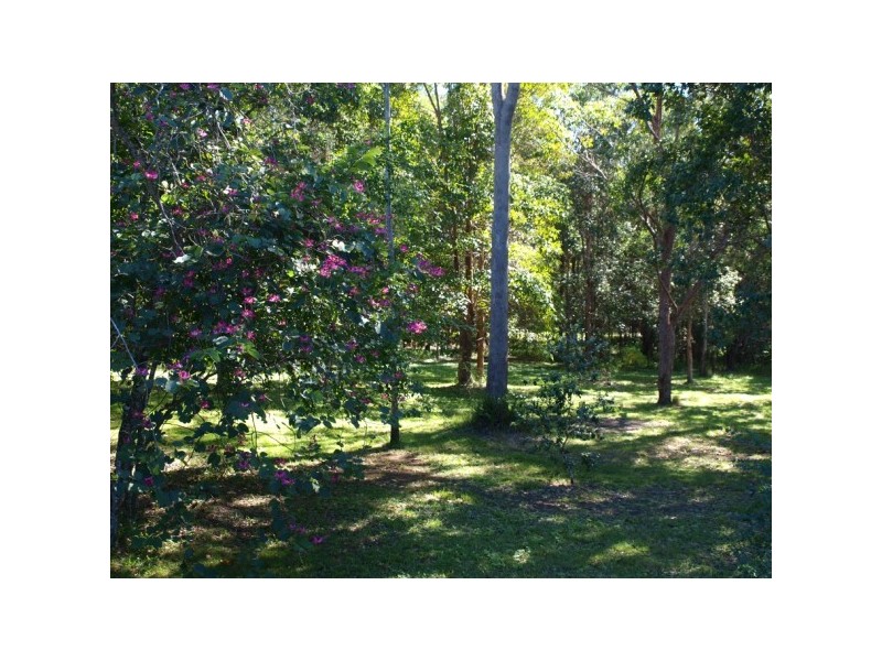 55 Hatch Road, Cootharaba QLD 4565