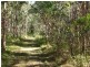 55 Hatch Road, Cootharaba QLD 4565