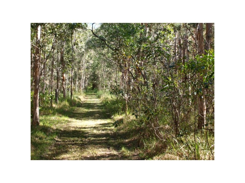 55 Hatch Road, Cootharaba QLD 4565