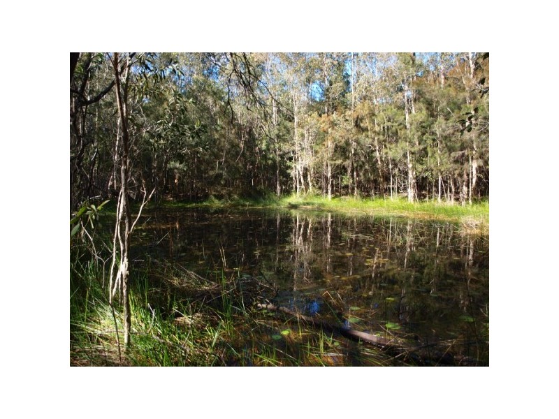 55 Hatch Road, Cootharaba QLD 4565