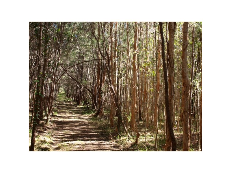 55 Hatch Road, Cootharaba QLD 4565