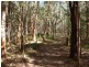 55 Hatch Road, Cootharaba QLD 4565