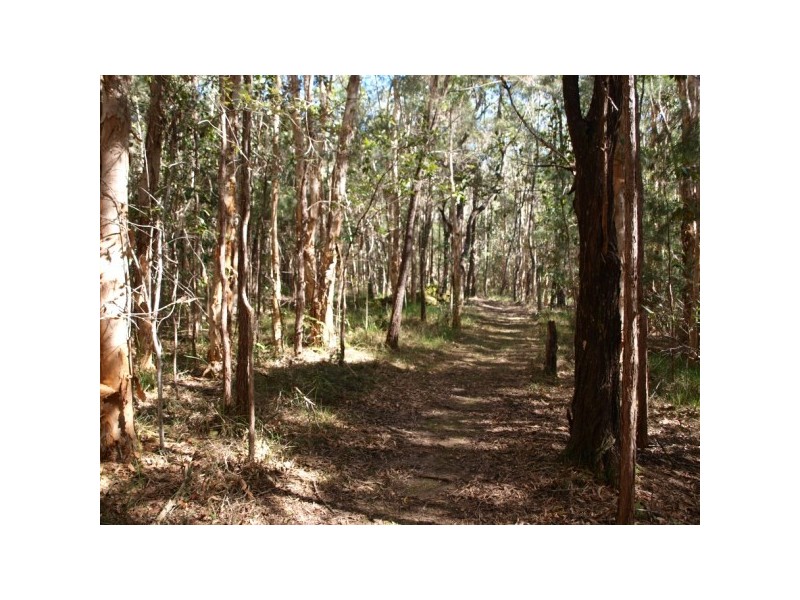 55 Hatch Road, Cootharaba QLD 4565