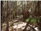 55 Hatch Road, Cootharaba QLD 4565
