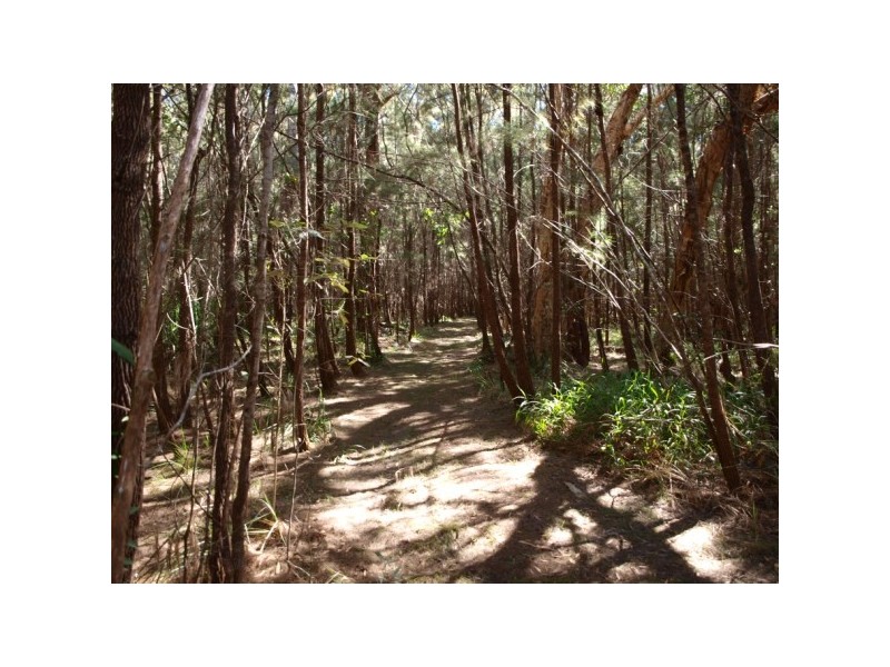 55 Hatch Road, Cootharaba QLD 4565