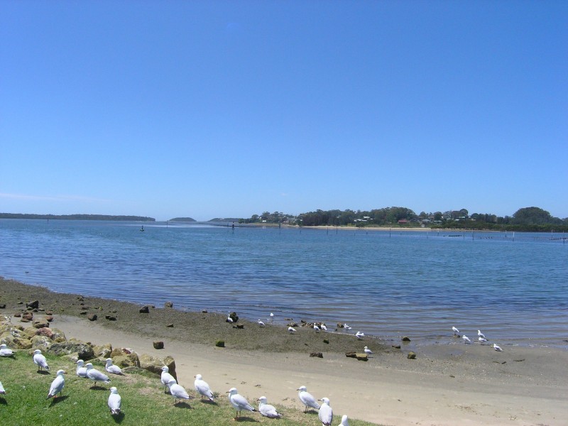 114 Greewell Point Road, Greenwell Point NSW 2540