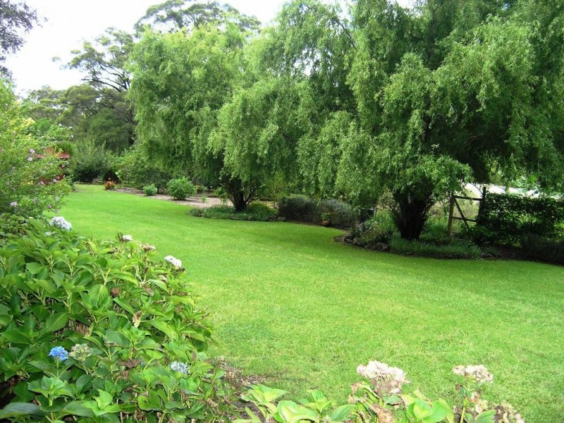 1389 Illaroo Road, Cambewarra NSW 2540